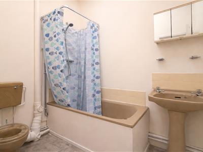 Picture 12